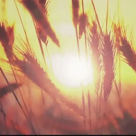 Sunrise Stagnone Marsala